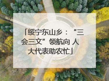 绥宁东山乡：“三会三文”领航向 人大代表助农忙