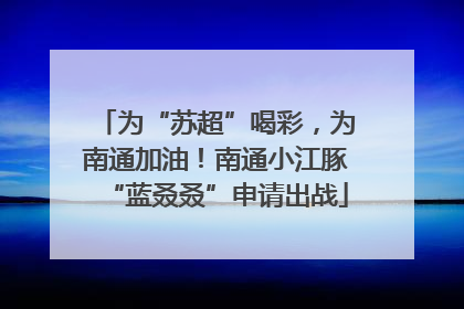 为“苏超”喝彩，为南通加油！南通小江豚“蓝叒叒”申请出战