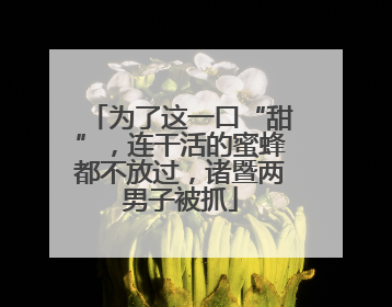 为了这一口“甜”，连干活的蜜蜂都不放过，诸暨两男子被抓