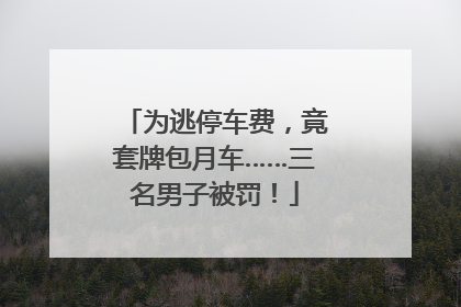 为逃停车费，竟套牌包月车……三名男子被罚！