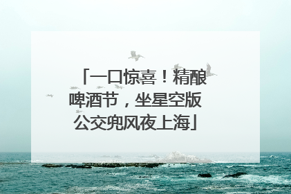 一口惊喜！精酿啤酒节，坐星空版公交兜风夜上海