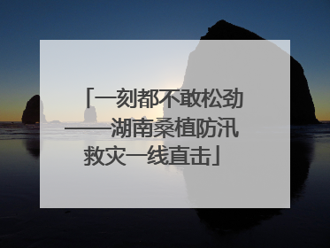 一刻都不敢松劲——湖南桑植防汛救灾一线直击