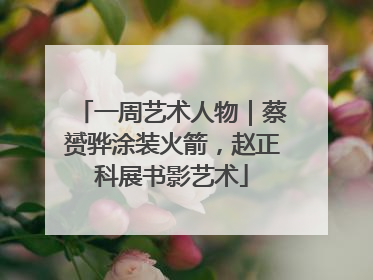 一周艺术人物｜蔡赟骅涂装火箭，赵正科展书影艺术