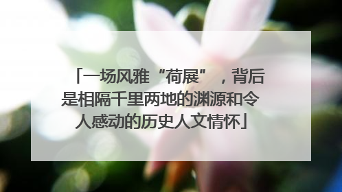 一场风雅“荷展”，背后是相隔千里两地的渊源和令人感动的历史人文情怀