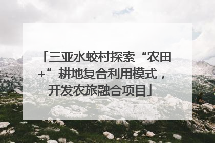 三亚水蛟村探索“农田+”耕地复合利用模式，开发农旅融合项目