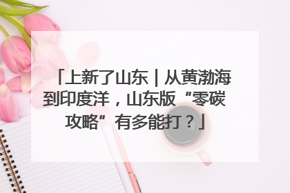 上新了山东｜从黄渤海到印度洋，山东版“零碳攻略”有多能打？