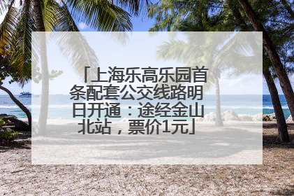 上海乐高乐园首条配套公交线路明日开通：途经金山北站，票价1元
