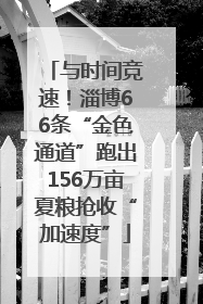 与时间竞速！淄博66条“金色通道”跑出156万亩夏粮抢收“加速度”
