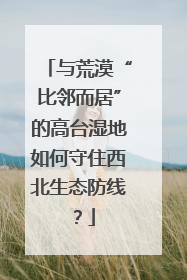 与荒漠“比邻而居”的高台湿地如何守住西北生态防线？