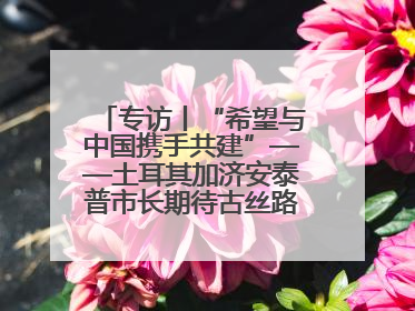 专访丨“希望与中国携手共建”——土耳其加济安泰普市长期待古丝路重镇焕发新活力