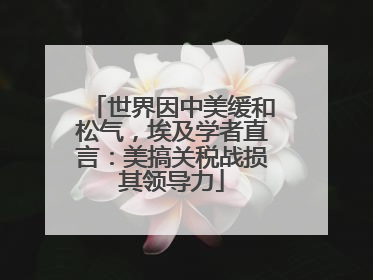 世界因中美缓和松气，埃及学者直言：美搞关税战损其领导力