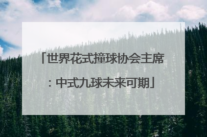 世界花式撞球协会主席：中式九球未来可期