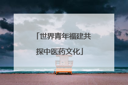 世界青年福建共探中医药文化