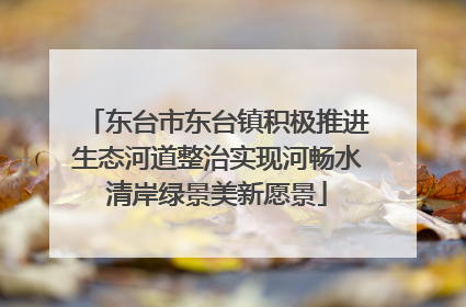 东台市东台镇积极推进生态河道整治实现河畅水清岸绿景美新愿景