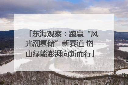 东海观察：跑赢“风光潮氢储”新赛道 岱山绿能澎湃向新而行