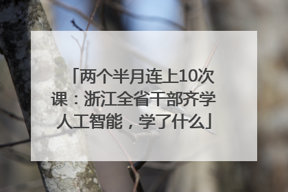 两个半月连上10次课：浙江全省干部齐学人工智能，学了什么