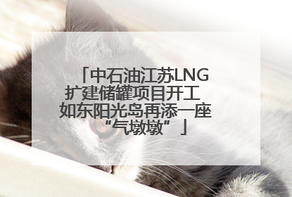 中石油江苏LNG扩建储罐项目开工 如东阳光岛再添一座“气墩墩”