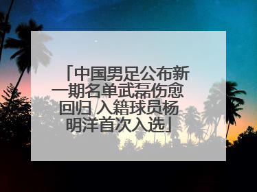 中国男足公布新一期名单武磊伤愈回归 入籍球员杨明洋首次入选