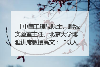 中国工程院院士、鹏城实验室主任、北京大学博雅讲席教授高文：“以人为本 智能向善” 推动文化与科技相生相促｜聚焦2025文化强国建设高峰论坛
