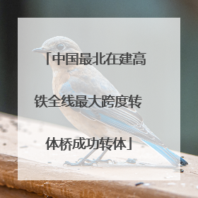 中国最北在建高铁全线最大跨度转体桥成功转体