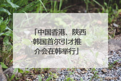 中国香港、陕西·韩国首尔引才推介会在韩举行