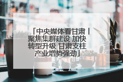 中央媒体看甘肃丨聚焦集群建设 加快转型升级 甘肃支柱产业增势强劲