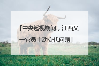 中央巡视期间，江西又一官员主动交代问题