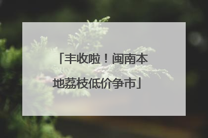 丰收啦！闽南本地荔枝低价争市