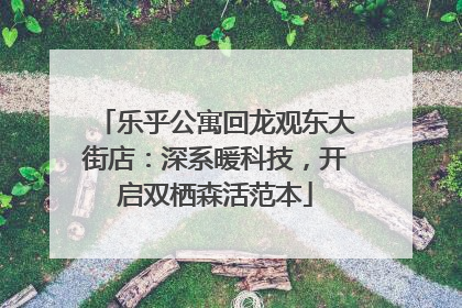 乐乎公寓回龙观东大街店：深系暖科技，开启双栖森活范本