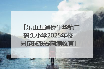 乐山五通桥牛华镇二码头小学2025年校园足球联赛圆满收官