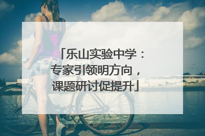 乐山实验中学：专家引领明方向，课题研讨促提升