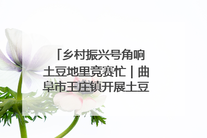 乡村振兴号角响 土豆地里竞赛忙｜曲阜市王庄镇开展土豆收获劳动竞赛