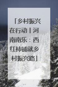 乡村振兴在行动丨河南南乐：西红柿铺就乡村振兴路