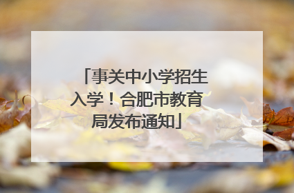 事关中小学招生入学！合肥市教育局发布通知