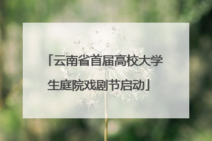 云南省首届高校大学生庭院戏剧节启动