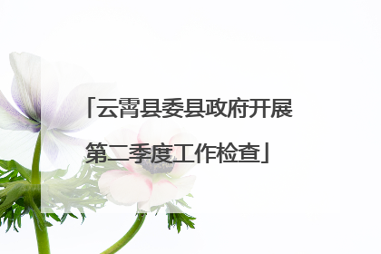 云霄县委县政府开展第二季度工作检查