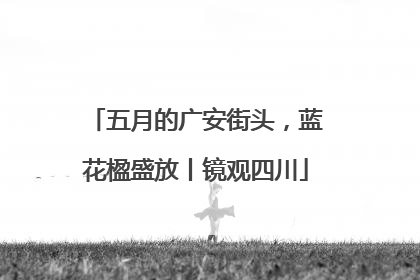 五月的广安街头，蓝花楹盛放丨镜观四川