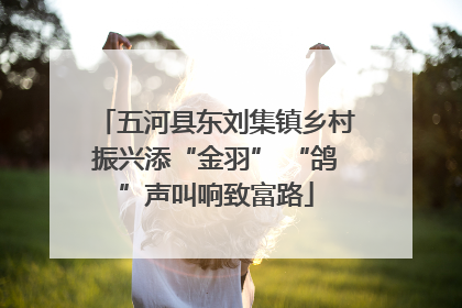 五河县东刘集镇乡村振兴添“金羽” “鸽”声叫响致富路