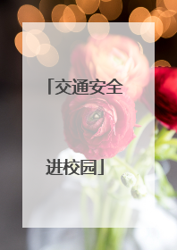 交通安全进校园