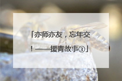 亦师亦友，忘年交！——援青故事③