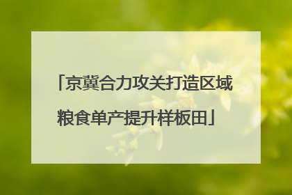 京冀合力攻关打造区域粮食单产提升样板田