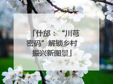 什邡：“川芎密码”解锁乡村振兴新图景