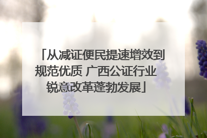 从减证便民提速增效到规范优质 广西公证行业锐意改革蓬勃发展
