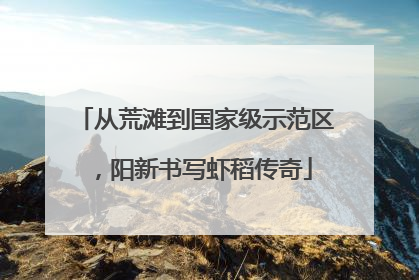 从荒滩到国家级示范区，阳新书写虾稻传奇