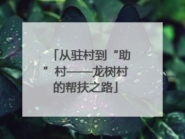 从驻村到“助”村——龙树村的帮扶之路