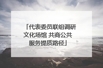 代表委员联组调研文化场馆 共商公共服务提质路径