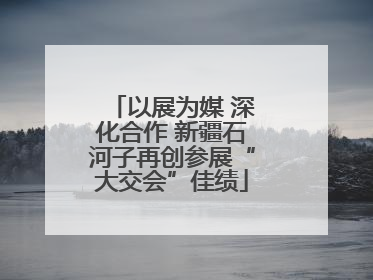 以展为媒 深化合作 新疆石河子再创参展“大交会”佳绩