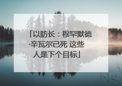 以防长：穆罕默德·辛瓦尔已死 这些人是下个目标