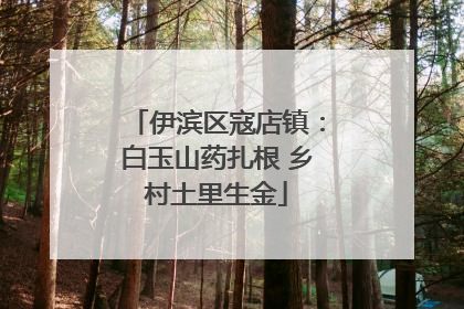 伊滨区寇店镇：白玉山药扎根 乡村土里生金