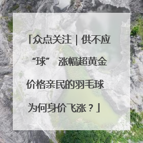 众点关注｜供不应“球” 涨幅超黄金 价格亲民的羽毛球为何身价飞涨？